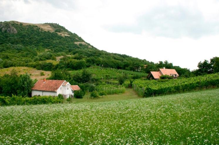 Csobánc Szerelem-Nemzeti Park-Önalló Ház Gyulakeszi Exterior foto