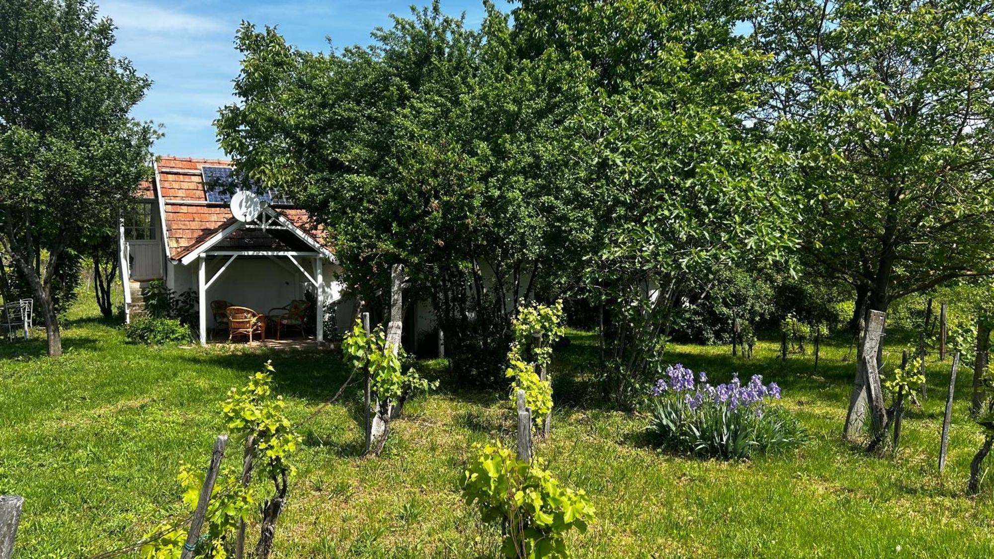 Csobánc Szerelem-Nemzeti Park-Önalló Ház Gyulakeszi Exterior foto